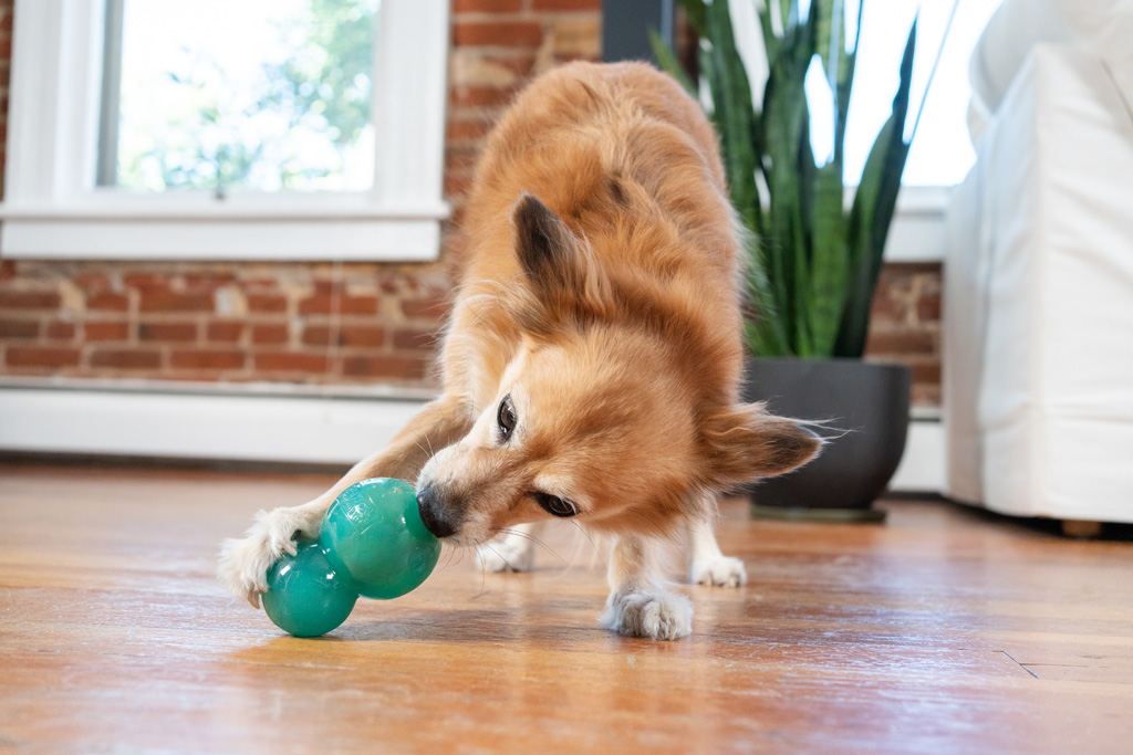 Outward Hound Double-Tuff M Blauw Kauwspeeltje en Vulbaar Speeltje - afbeelding 6