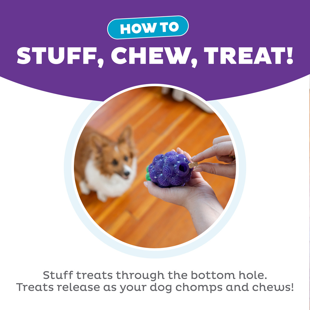 Outward Hound Dental Grapes 2-in-1 Kauwspeeltje met Fruitige Geur - afbeelding 6