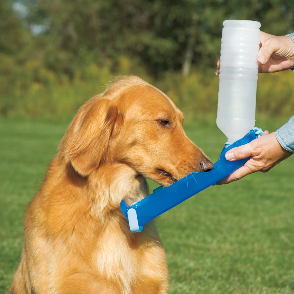 Pawise Travel Bottle 500 ml - Drinkfles voor Dieren - afbeelding 4