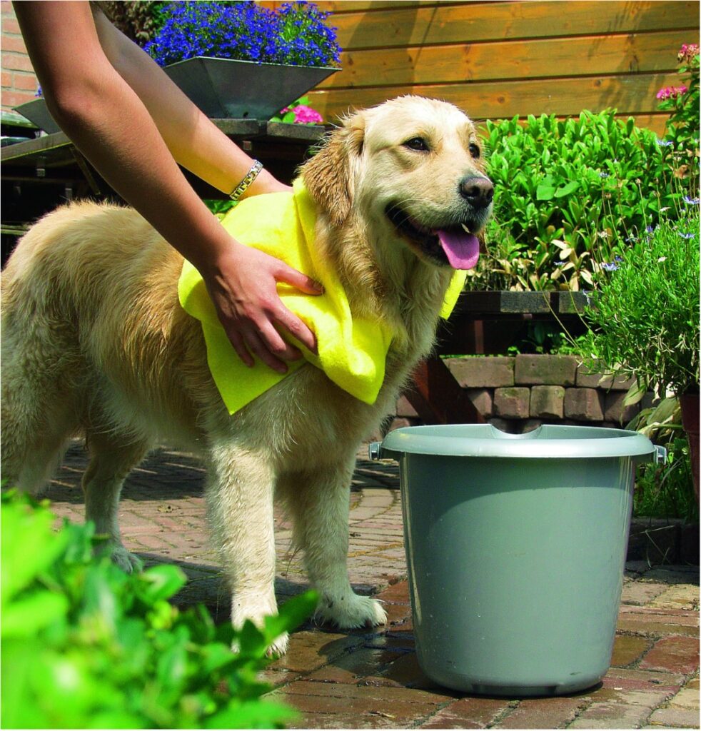 Pawise Dog Towel 40 x 50 cm - Handdoek voor honden - afbeelding 2