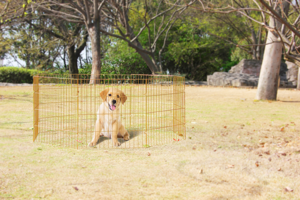 Pawise Dog Play Pen S - Mobiele Hondenren voor Thuis en Reizen - afbeelding 2