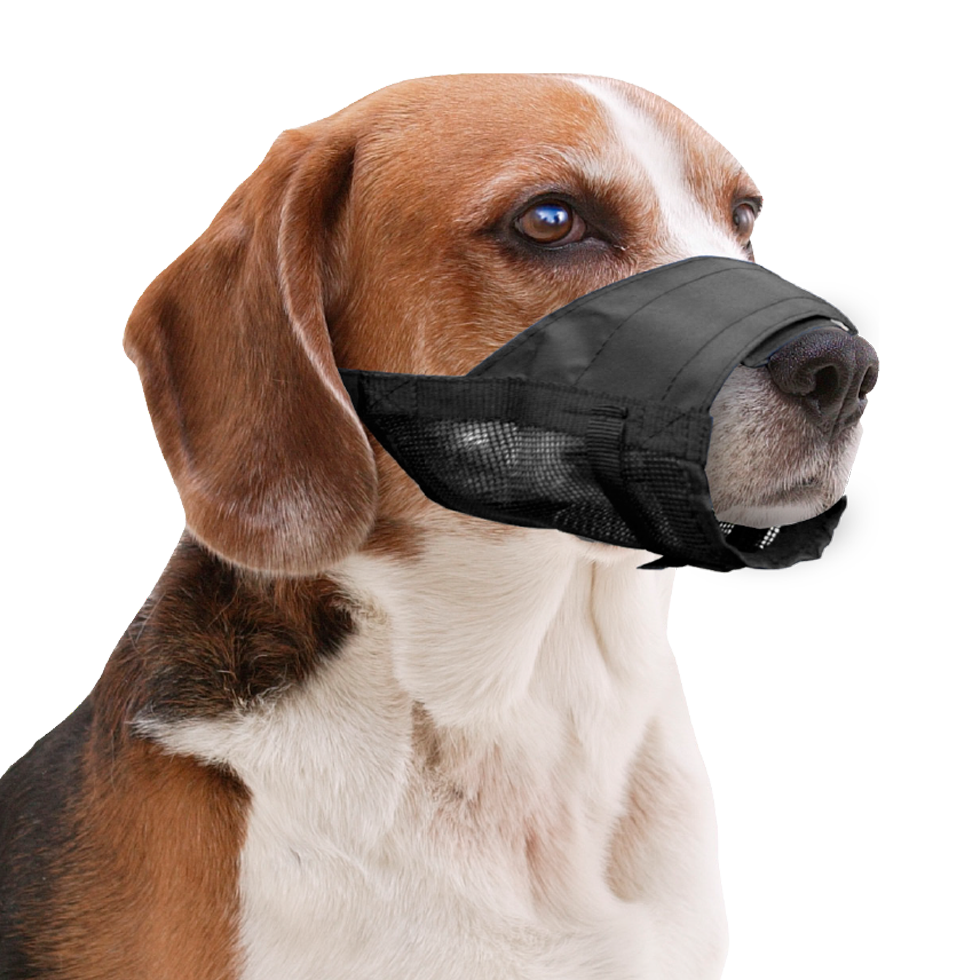 Pawise Adjustable Nylon Muzzle M - Verstelbare Muilkorf voor Honden - afbeelding 2