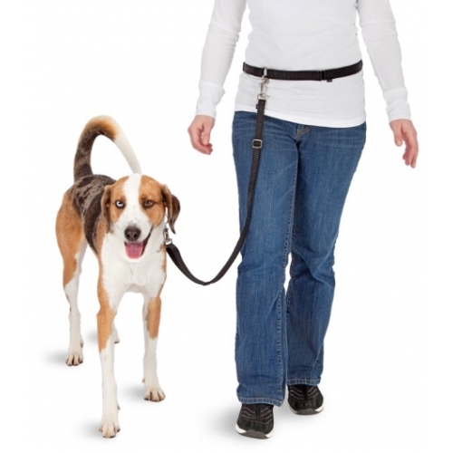 Pawise Hands Free Doggy Jogger Kit voor honden tot 40 kg - afbeelding 3