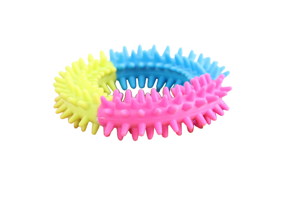 Pawise Rainbow World Ring S - Speelgoed voor Honden - afbeelding 1