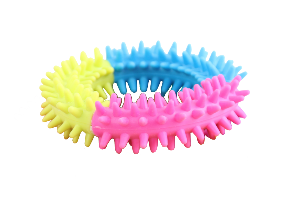 Pawise Rainbow World Ring M - Speelgoed voor Honden - afbeelding 1
