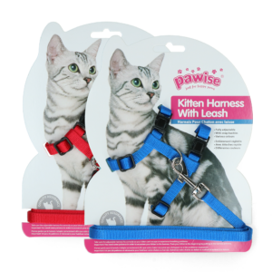 Pawise Kitten Tuigje met Riem Rood/Blauw S