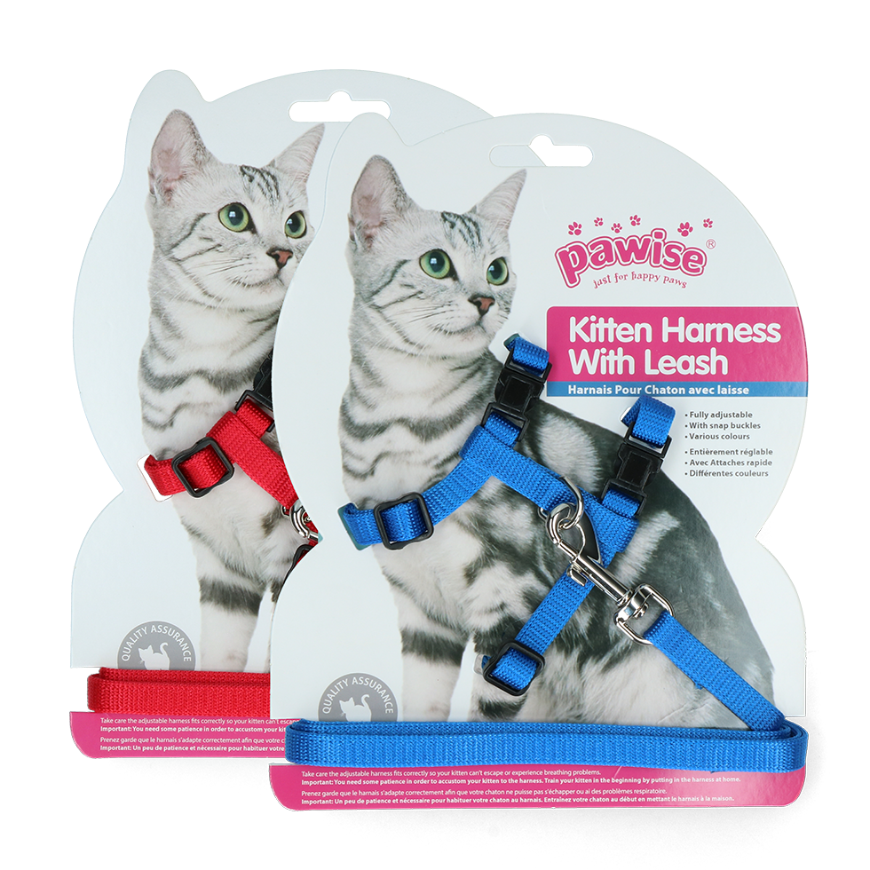 Pawise Kitten Tuigje met Riem Rood/Blauw S - afbeelding 1