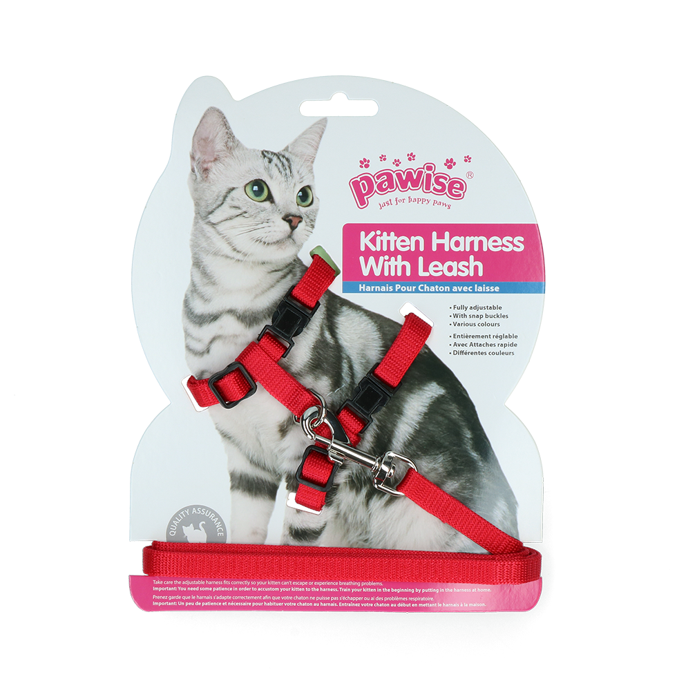 Pawise Kitten Tuigje met Riem Rood/Blauw S - afbeelding 2