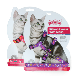 Pawise Kitten Tuigje met Riem Roze/Paarse