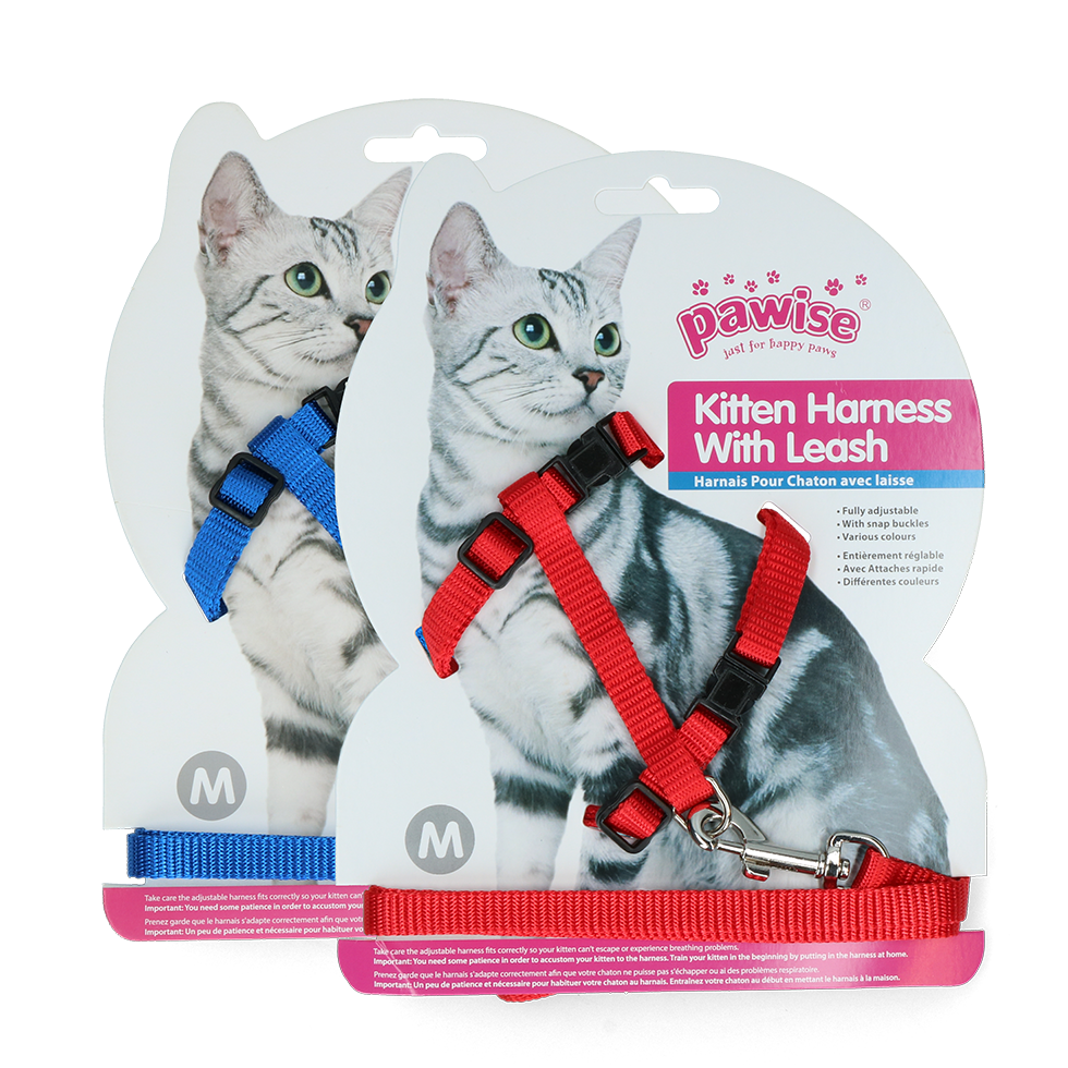 Pawise Kitten Tuigje met Riem Rood/Blauw M - afbeelding 1