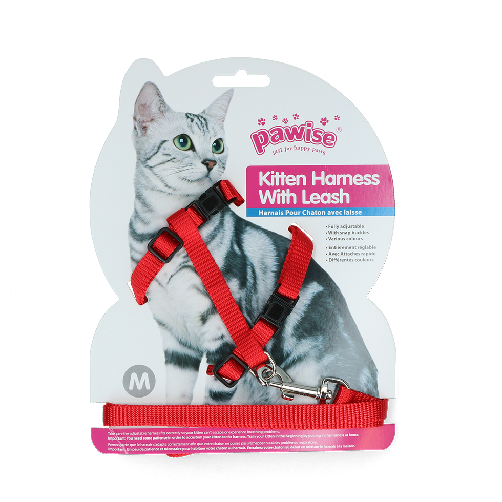 Pawise Kitten Tuigje met Riem Rood/Blauw M - afbeelding 2