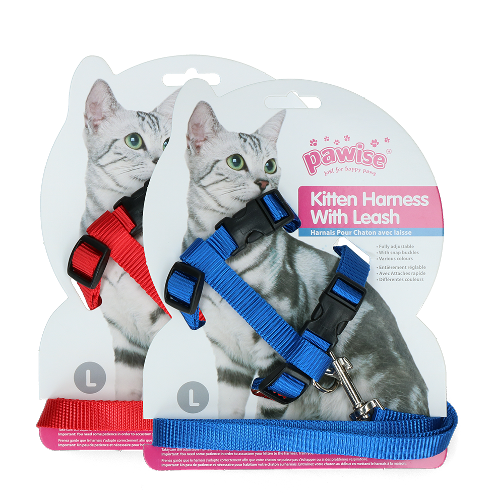 Pawise Kitten Tuigje met Riem Rood/Blauw L - afbeelding 1