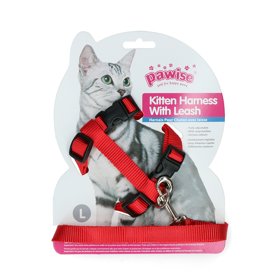 Pawise Kitten Tuigje met Riem Rood/Blauw L - afbeelding 2