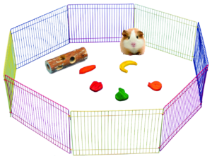 Pawise Small Animal Play Pen - Speelpen voor Knaagdieren