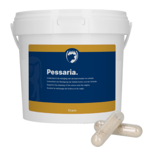 Excellent Pessaria Capsule 12 st - Ondersteuning baarmoederreiniging