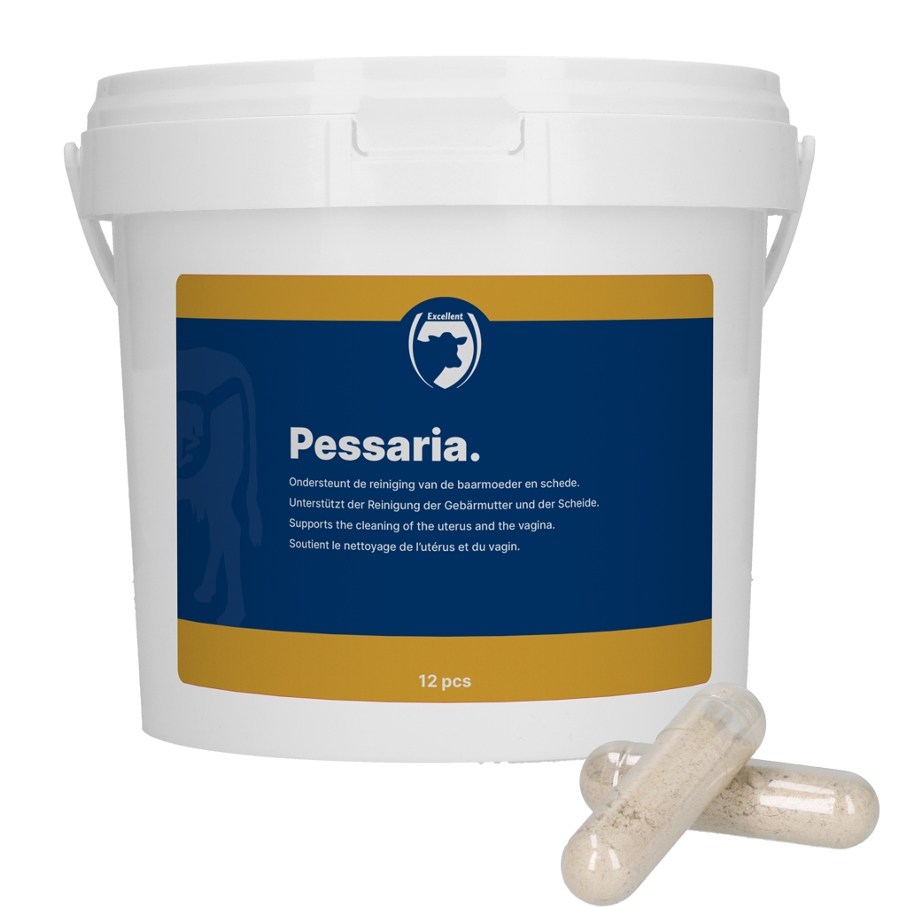 Excellent Pessaria Capsule 12 st - Ondersteuning baarmoederreiniging