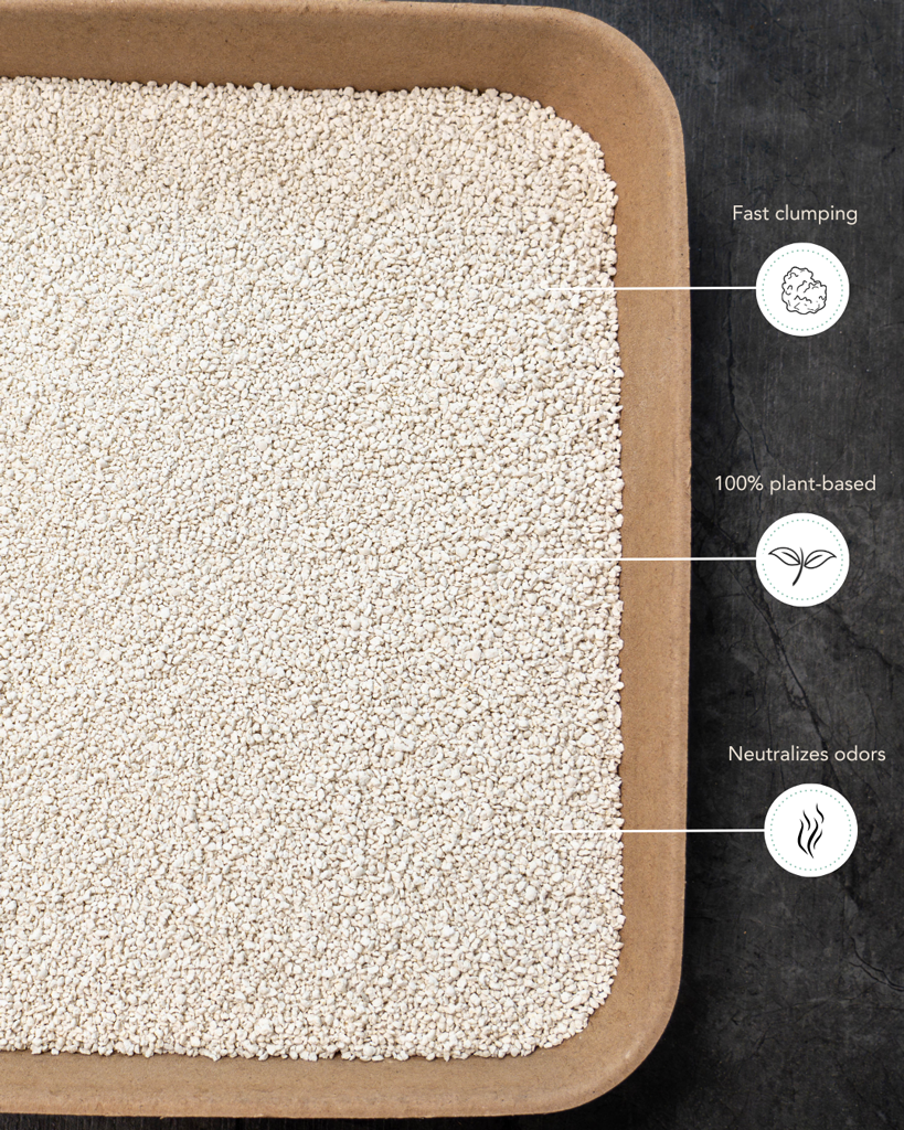Petlux Cassave Tofu Kattenbakvulling 3,5 kg - Duurzaam en hygiënisch - afbeelding 4