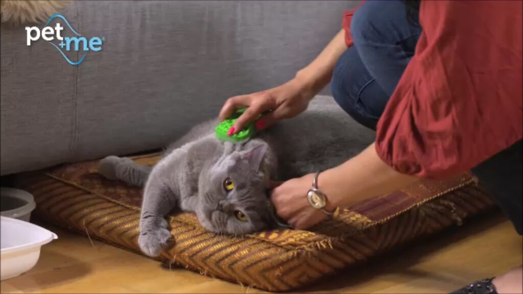 Pet+Me Cat Hair Brush Lang haar Groen - 4-in-1 Borstel voor Huisdieren - afbeelding 5