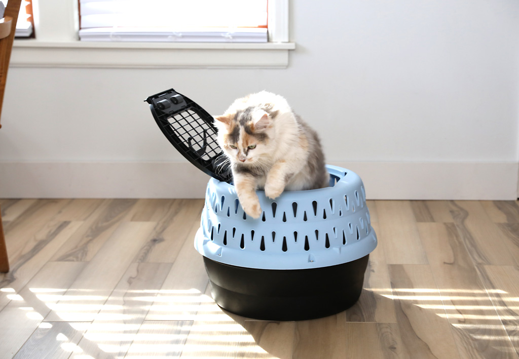 Petmate Get-A-Round Kennel voor katten - Blauw - afbeelding 5
