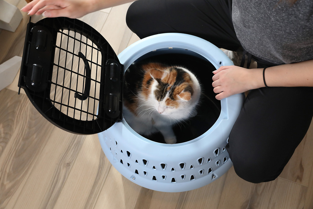 Petmate Get-A-Round Kennel voor katten - Blauw - afbeelding 6