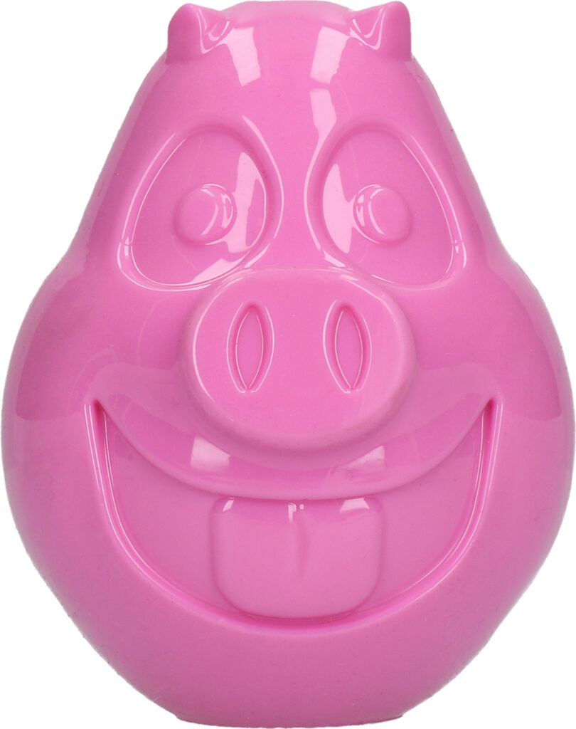 Petsport Mojo Friends Varken L - Speelgoed voor Honden van TPR Rubber - afbeelding 4