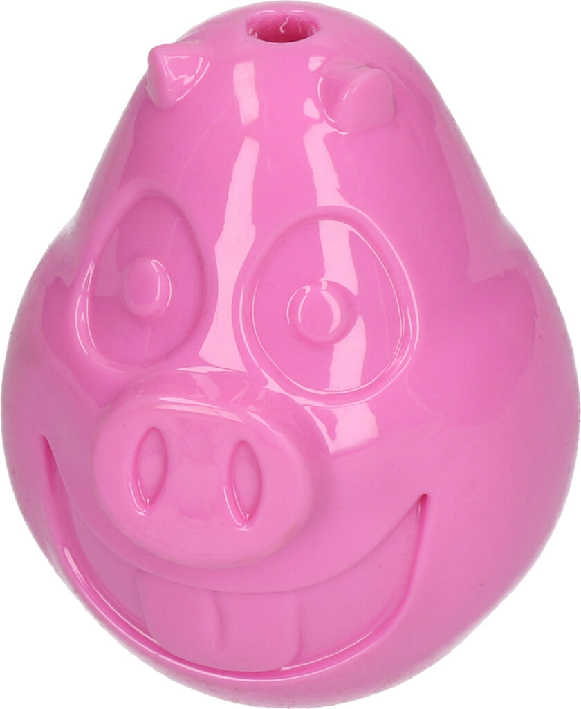 Petsport Mojo Friends Varken L - Speelgoed voor Honden van TPR Rubber - afbeelding 2