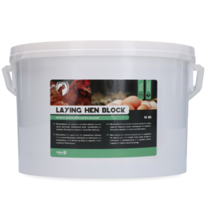 Excellent Legkippen Blok 10 kg - Rijk aan Calcium voor Sterke Eierschalen
