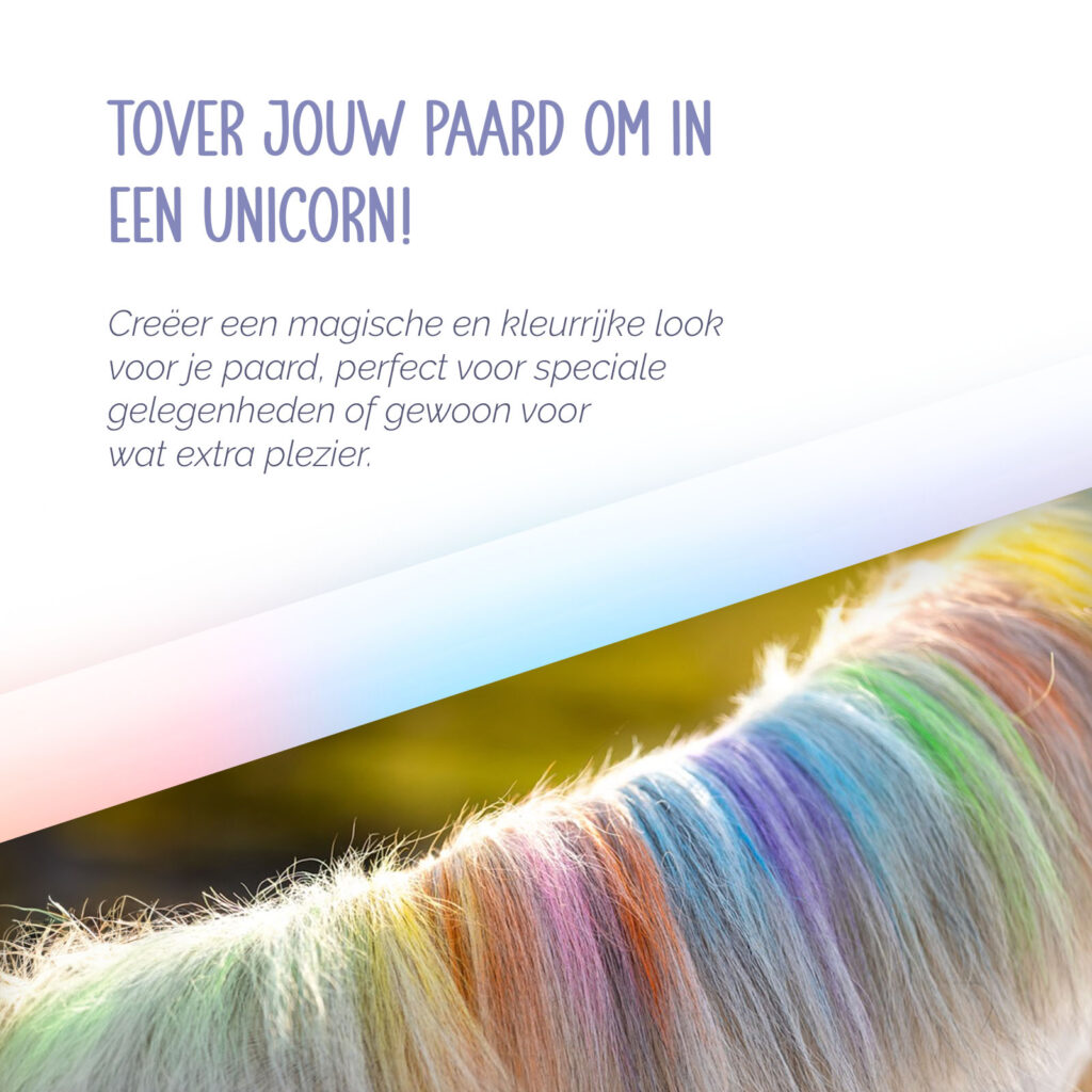Paardenpraat Regenboog Kleurkrijt - 6 stuks - afbeelding 6