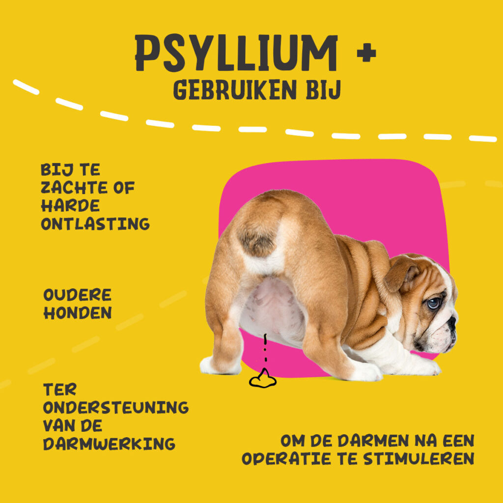 Excellent Pets Dog Psyllium+ 100 g - Supplement voor honden - afbeelding 6