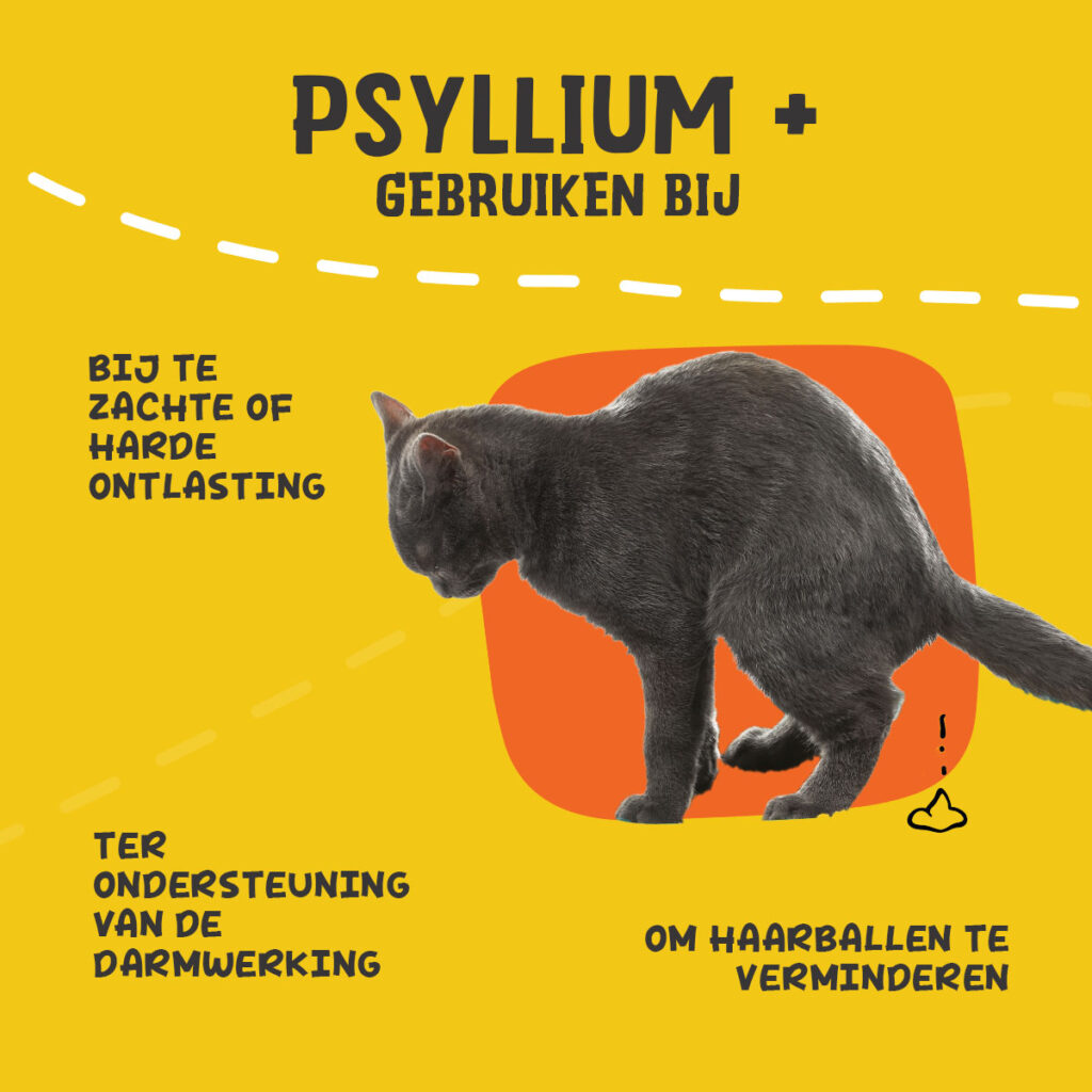 Excellent Pets Cat Psyllium+ 100 g - Supplement voor Katten - afbeelding 6