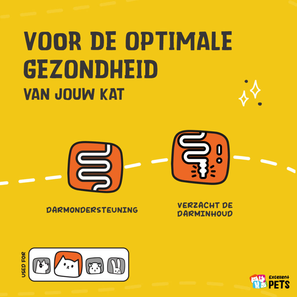 Excellent Pets Cat Psyllium+ 100 g - Supplement voor Katten - afbeelding 3