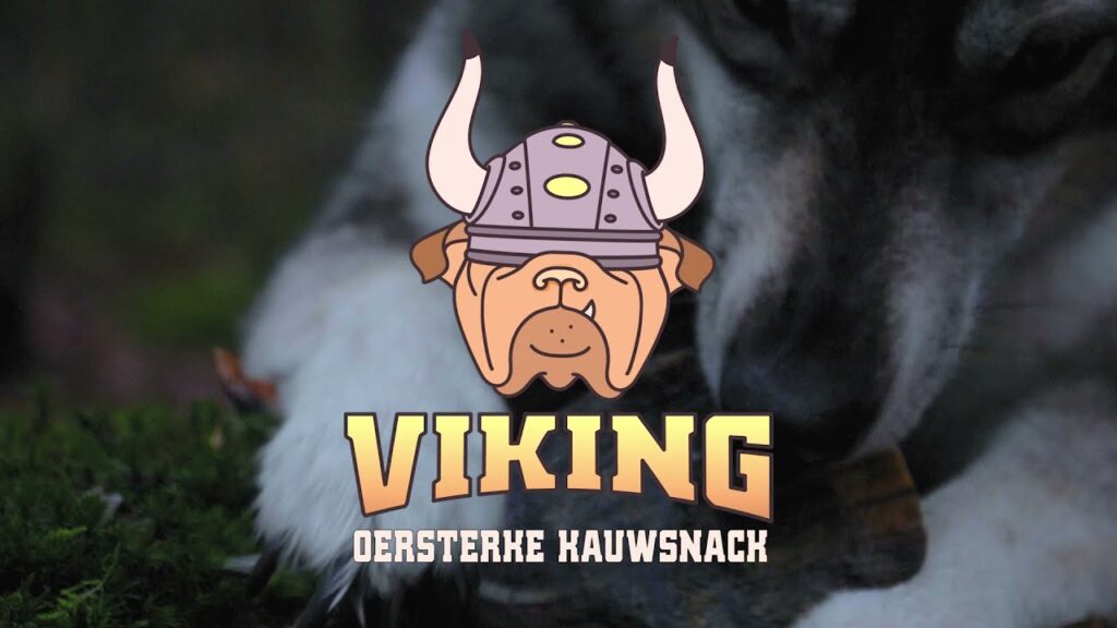 Viking Horn Whole S - Kauwsnack voor Kleine Honden - afbeelding 2