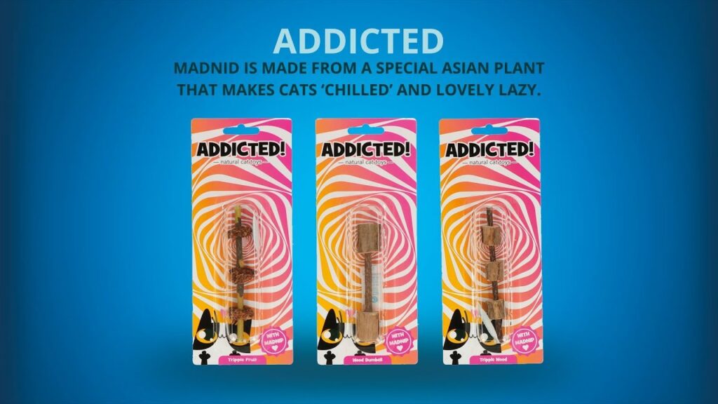 Addicted! Dumbell Kattenspeeltje met MADNIP - afbeelding 6