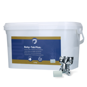 Excellent Rehy-Tab Plus Bruistablet Diarree 2,4 kg (48 tabs)