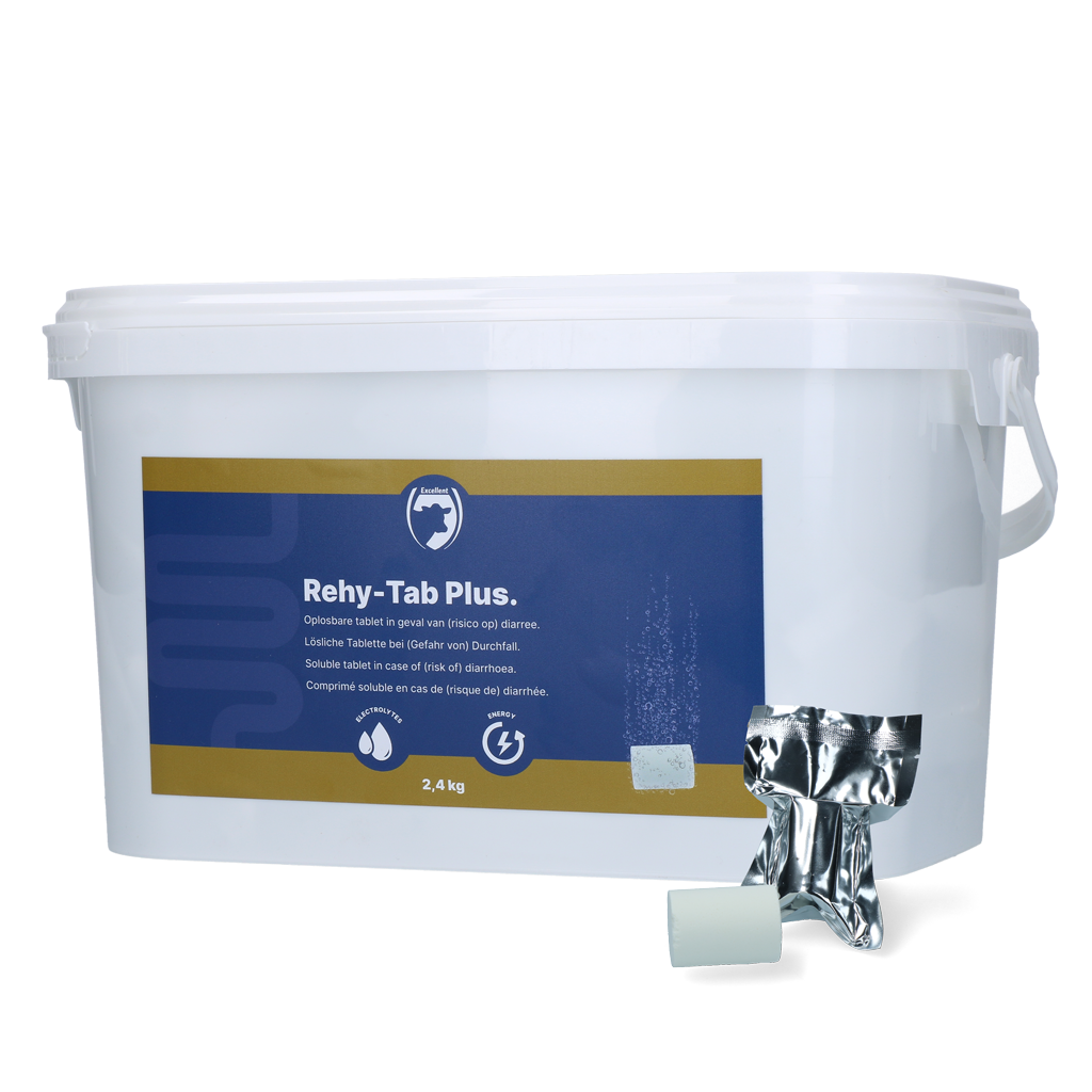 Excellent Rehy-Tab Plus Bruistablet Diarree 2,4 kg (48 tabs) - afbeelding 1