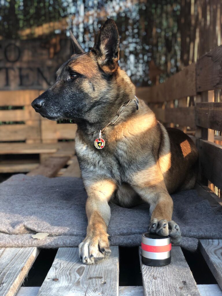 RelaxoPet PRO Hond - Stressverlichting voor Honden - afbeelding 5