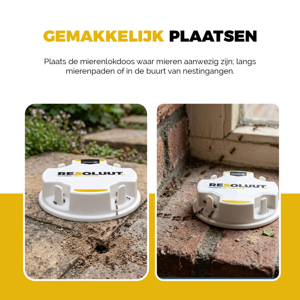 Resoluut Mieren Gel Lokdoos 20 stuks - Voor het bestrijden van zwarte wegmieren - afbeelding 6