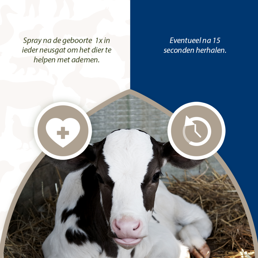 Excellent Respi Boost (Ademspray) 50 ml voor pasgeboren dieren - afbeelding 3