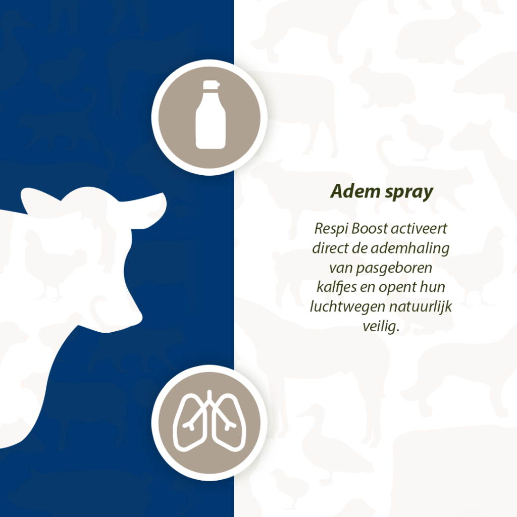 Excellent Respi Boost (Ademspray) 50 ml voor pasgeboren dieren - afbeelding 4