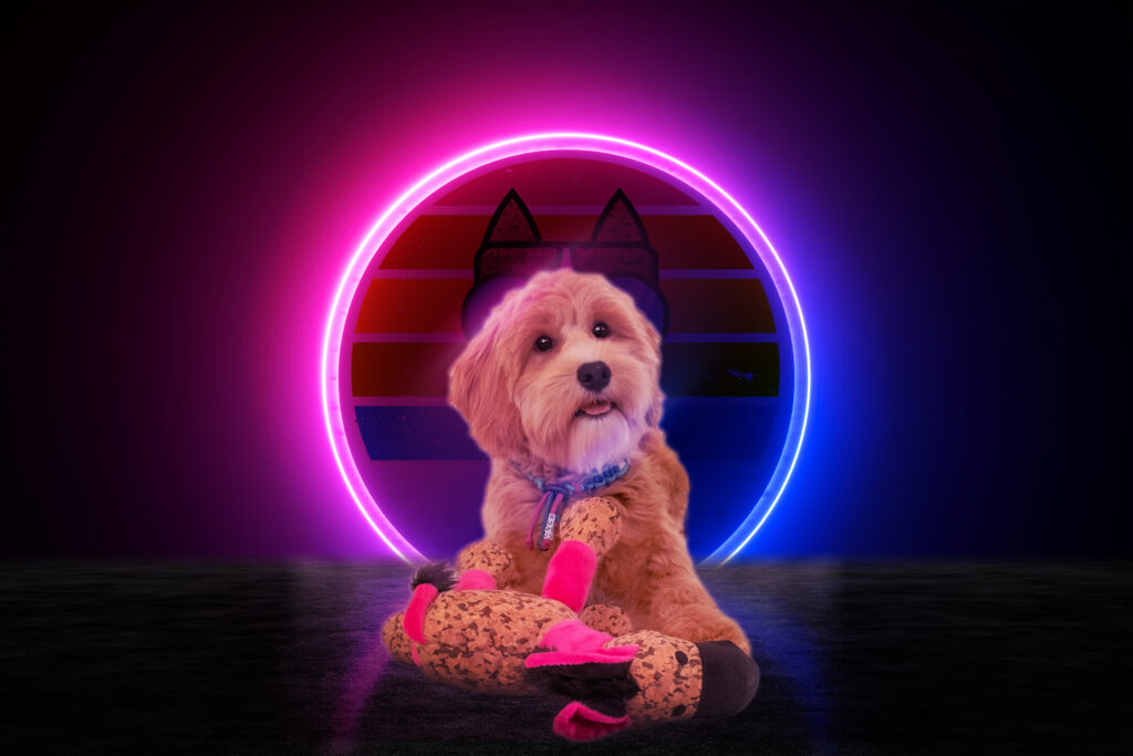 Retro Dog Donkey Roze S - Speelgoed voor Honden - afbeelding 3