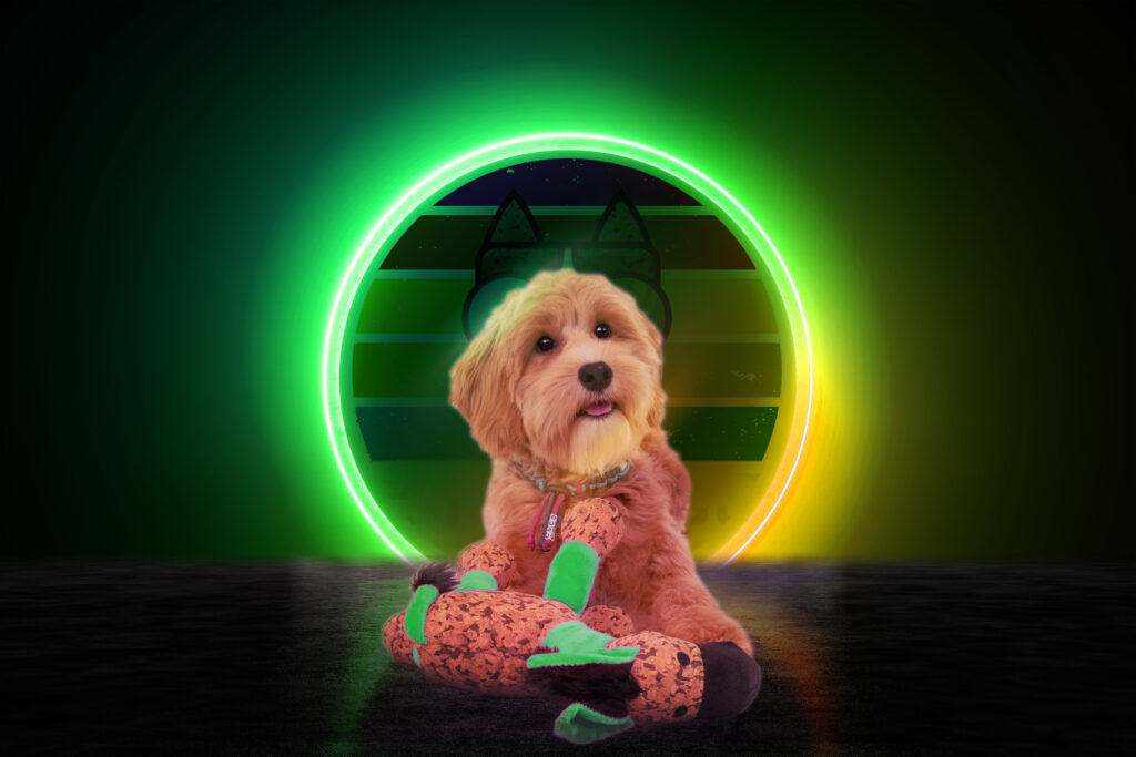 Retro Dog Donkey Groen S - Speelgoed voor Honden - afbeelding 3