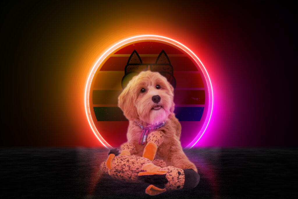 Retro Dog Donkey Oranje S - Zacht Speelgoed voor Honden - afbeelding 3