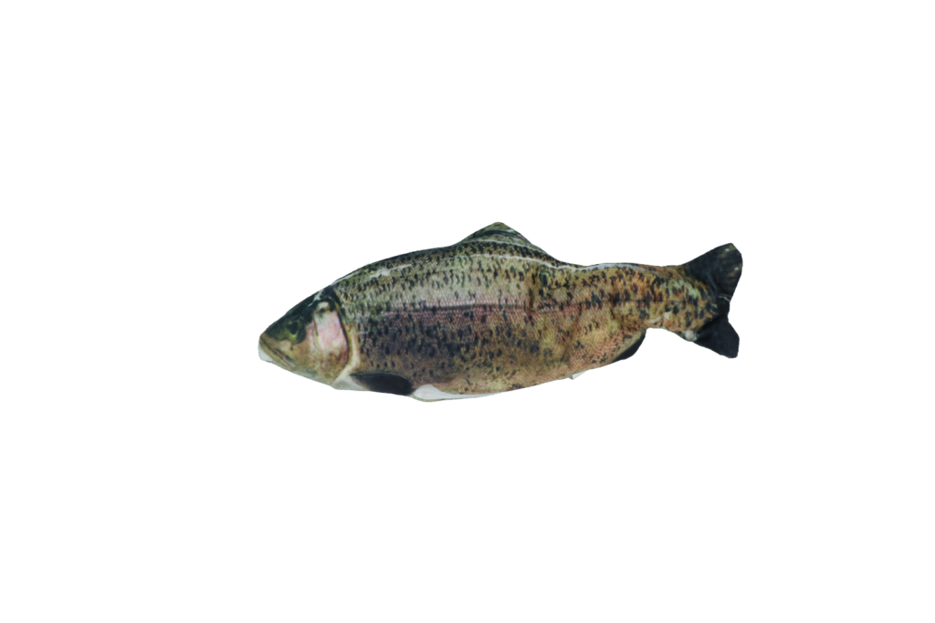 Robocat Forel - Realistische bewegende vis voor katten - afbeelding 2