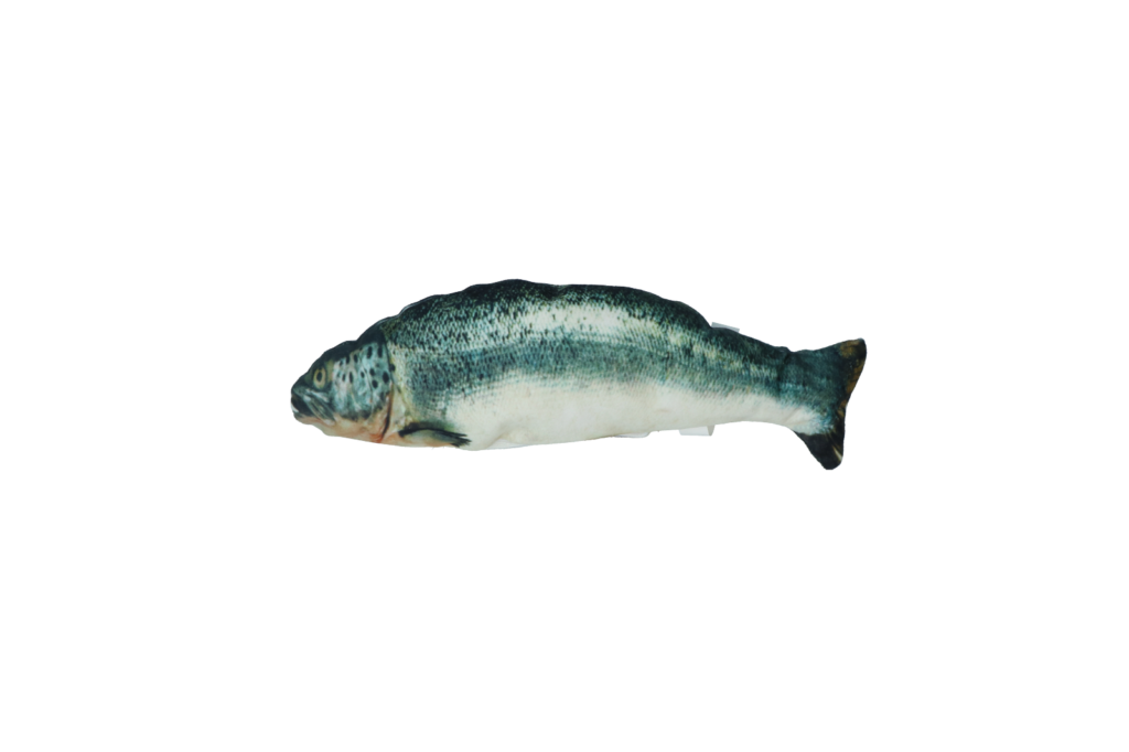 Robocat Zalm - Bewegende vis voor katten met MADNIP - afbeelding 2