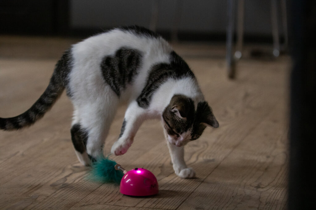 Robocat Muis Roze - Interactief Speelgoed voor Katten - afbeelding 5