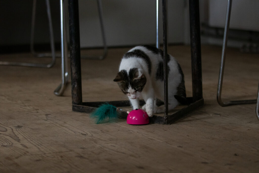 Robocat Muis Roze - Interactief Speelgoed voor Katten - afbeelding 6