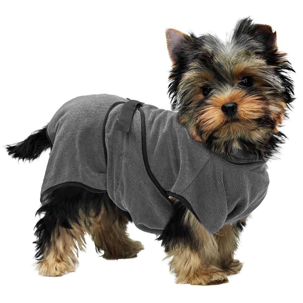 Royal Dry Badjas Voor Honden XS - Super absorberend en zacht - afbeelding 2