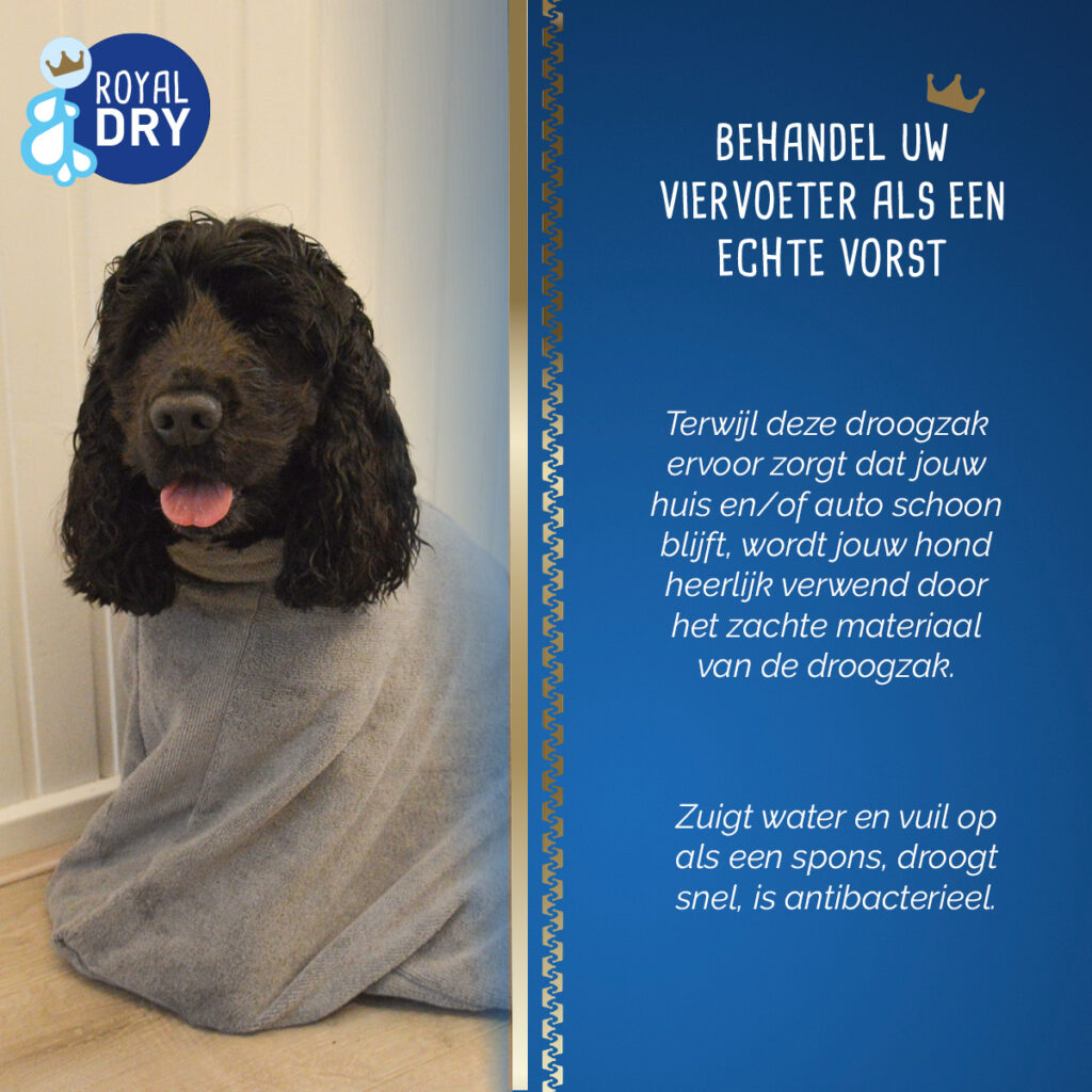 Royal Dry Doggy Bag Droogzak S voor Honden - afbeelding 6