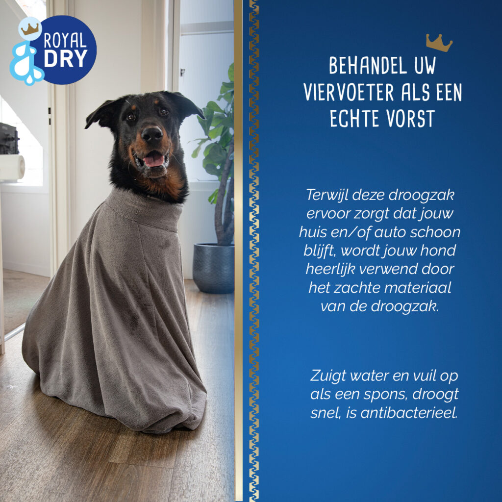 Royal Dry Doggy Bag Droogzak L - Super absorberend voor honden - afbeelding 6