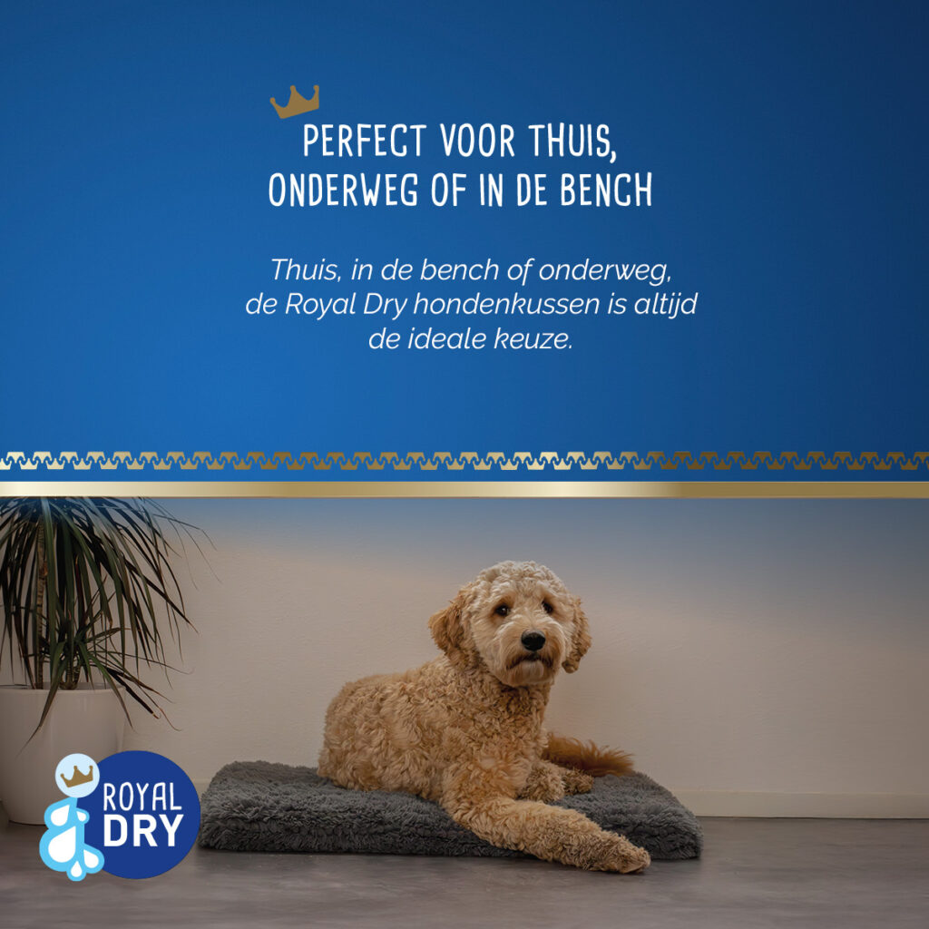 Royal Dry Kussen Voor Honden L (58 x 91 cm) - Super absorberend en zacht - afbeelding 6